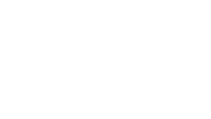 tcs_transparente